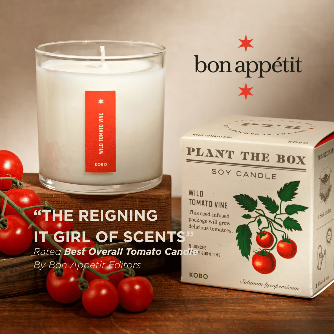 Wild Tomato Vine Plant the Box Candle - Image 12