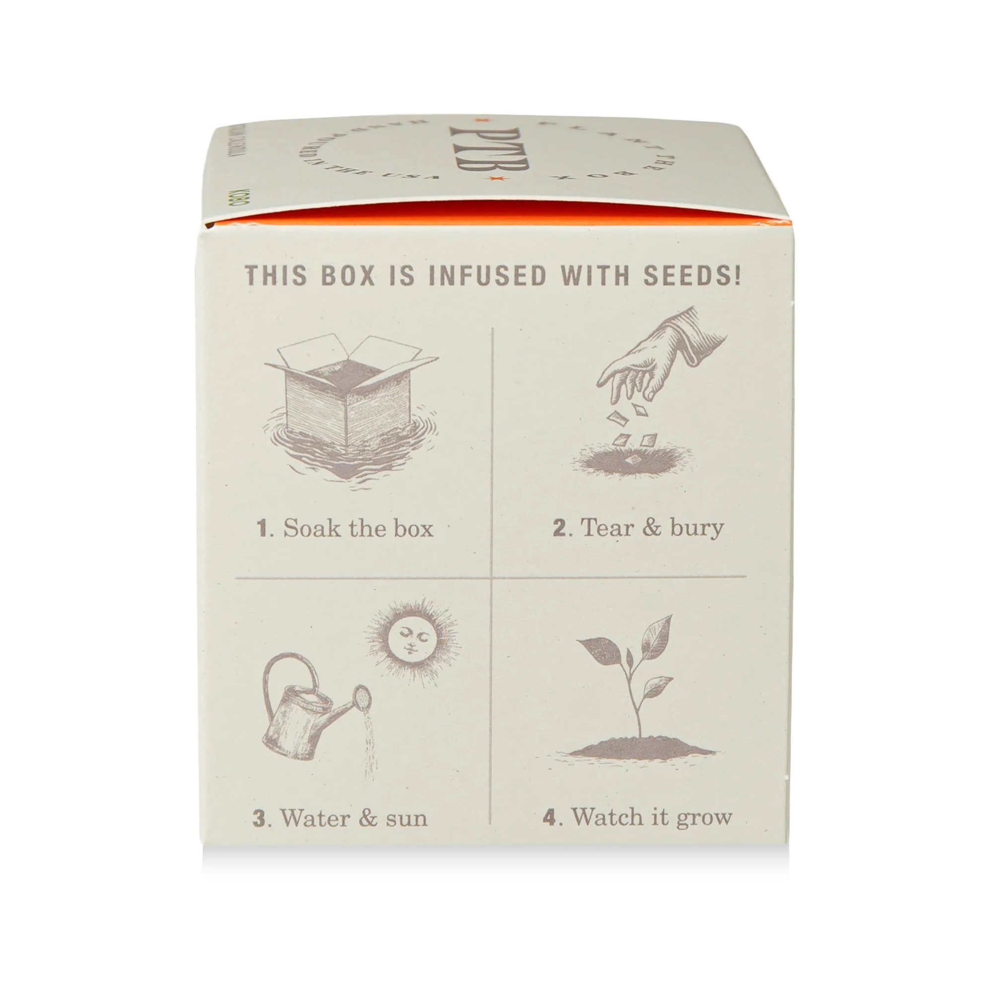 Catalan Calendula Plant The Box Candle - Image 10