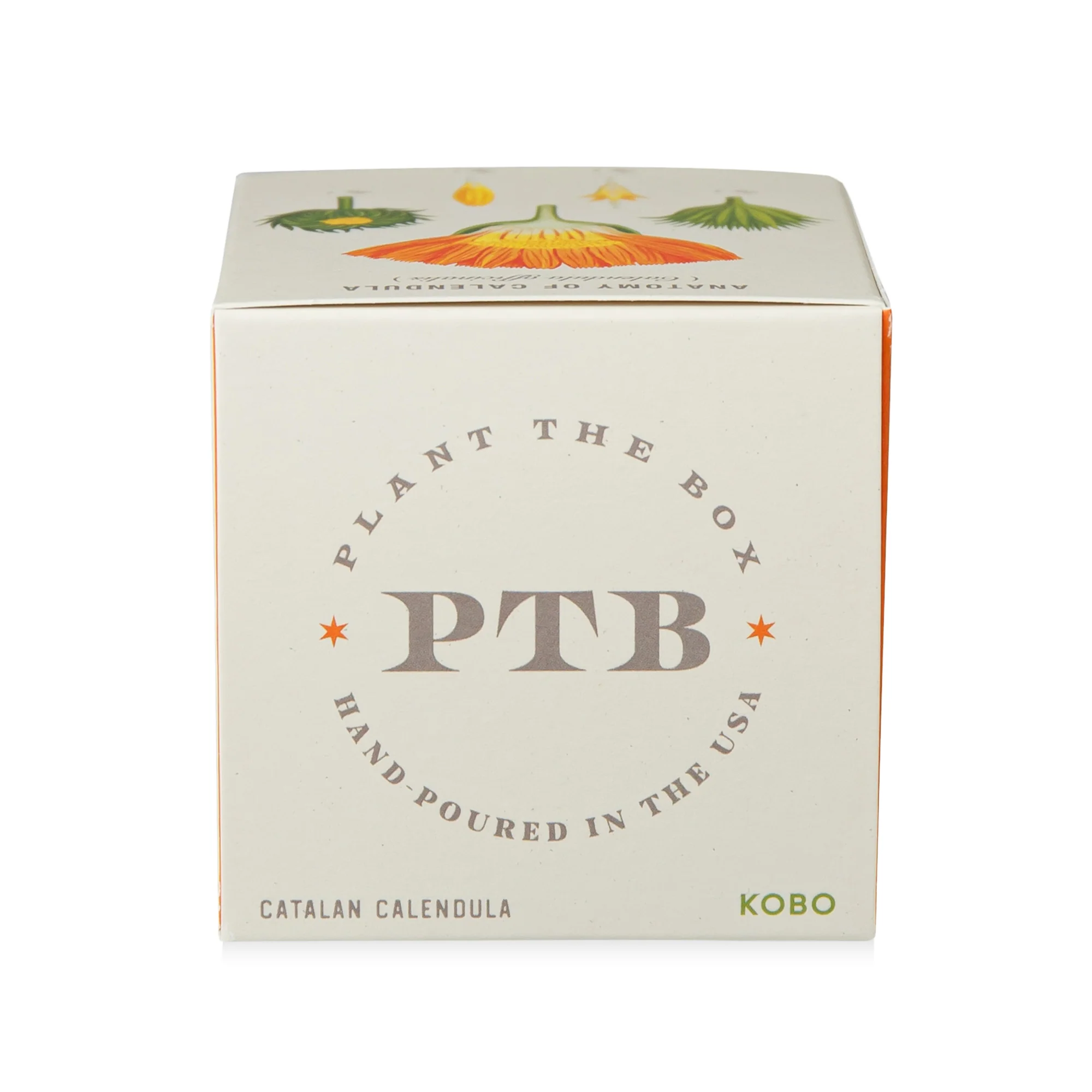 Catalan Calendula Plant The Box Candle - Image 11