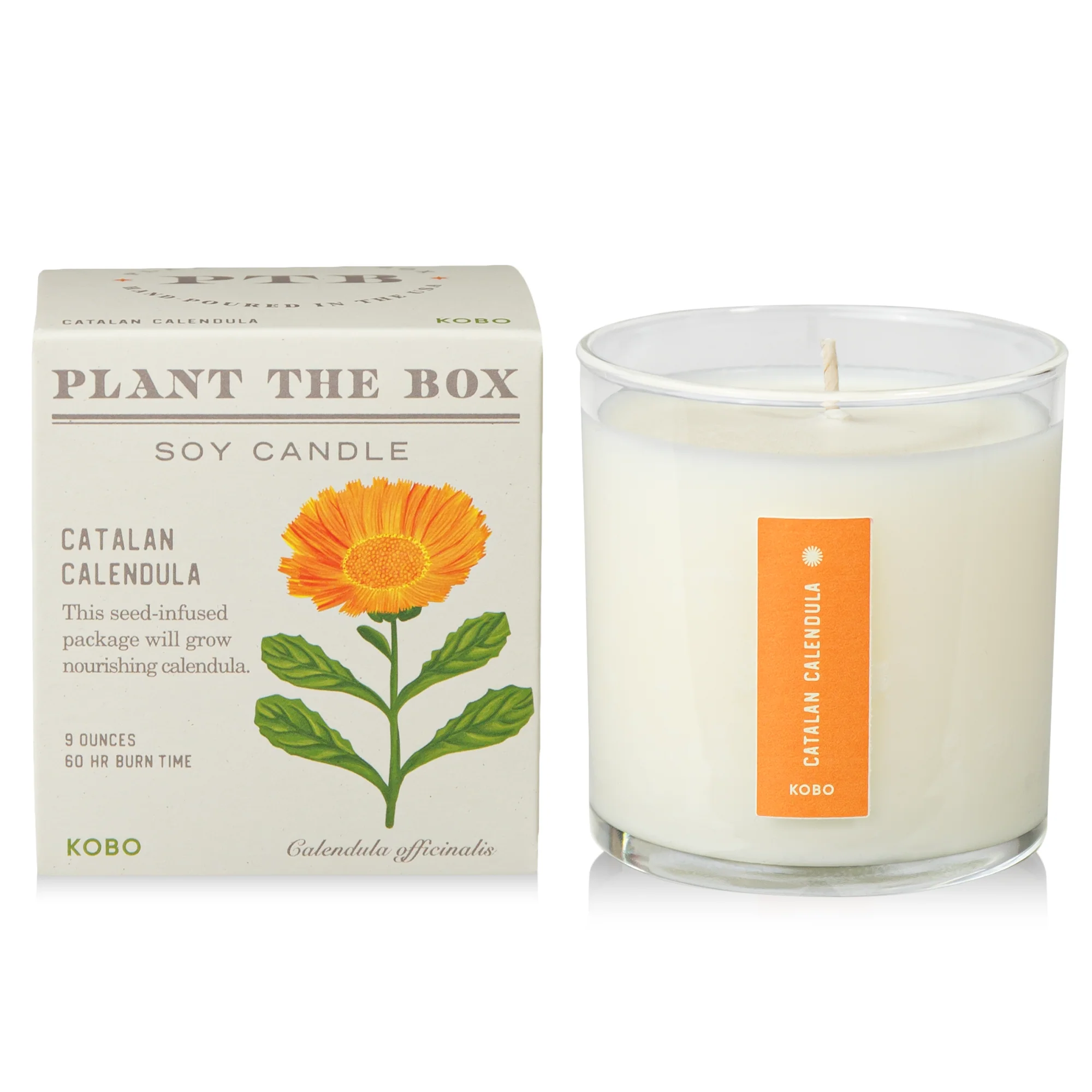 Catalan Calendula Plant The Box Candle - Image 7