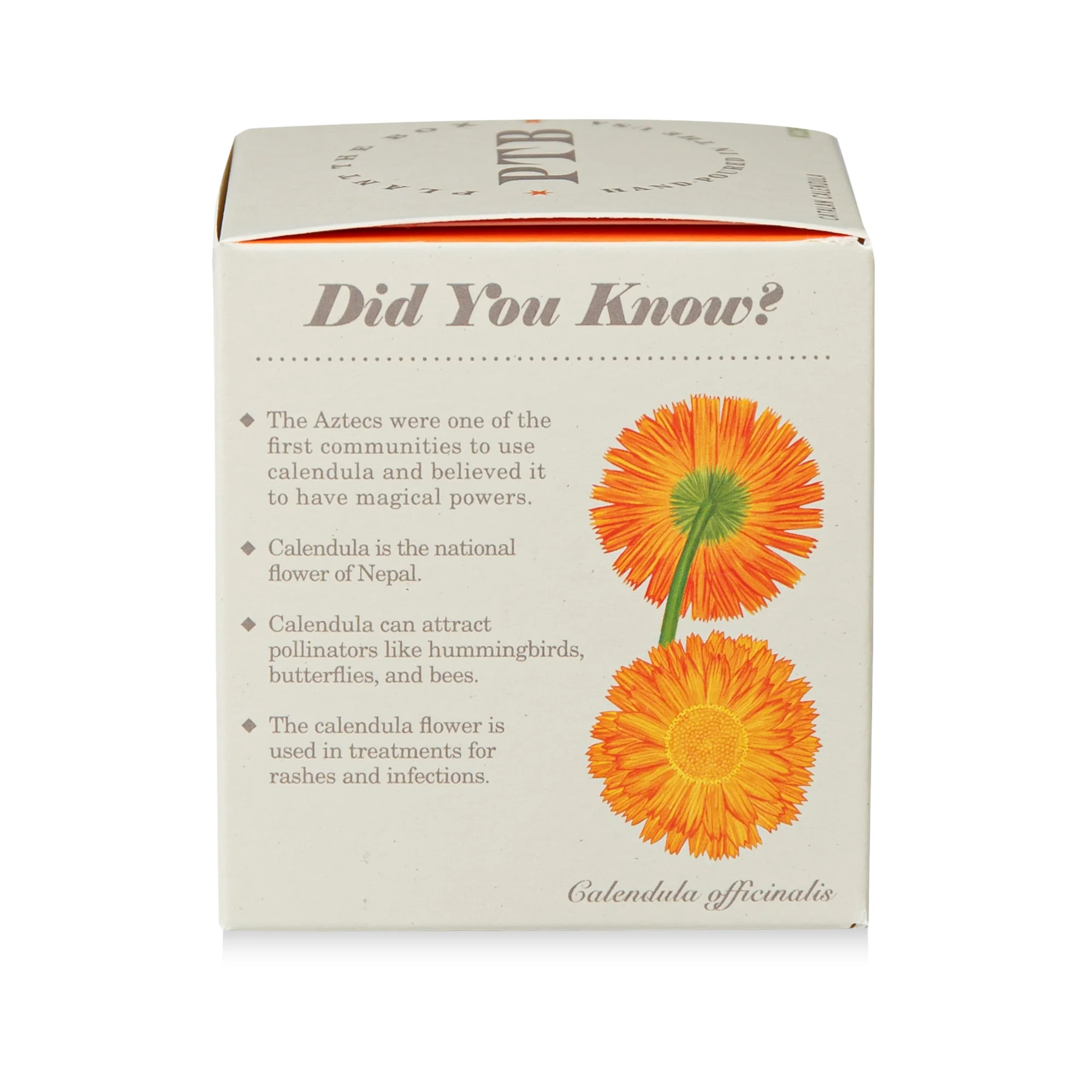 Catalan Calendula Plant The Box Candle - Image 9