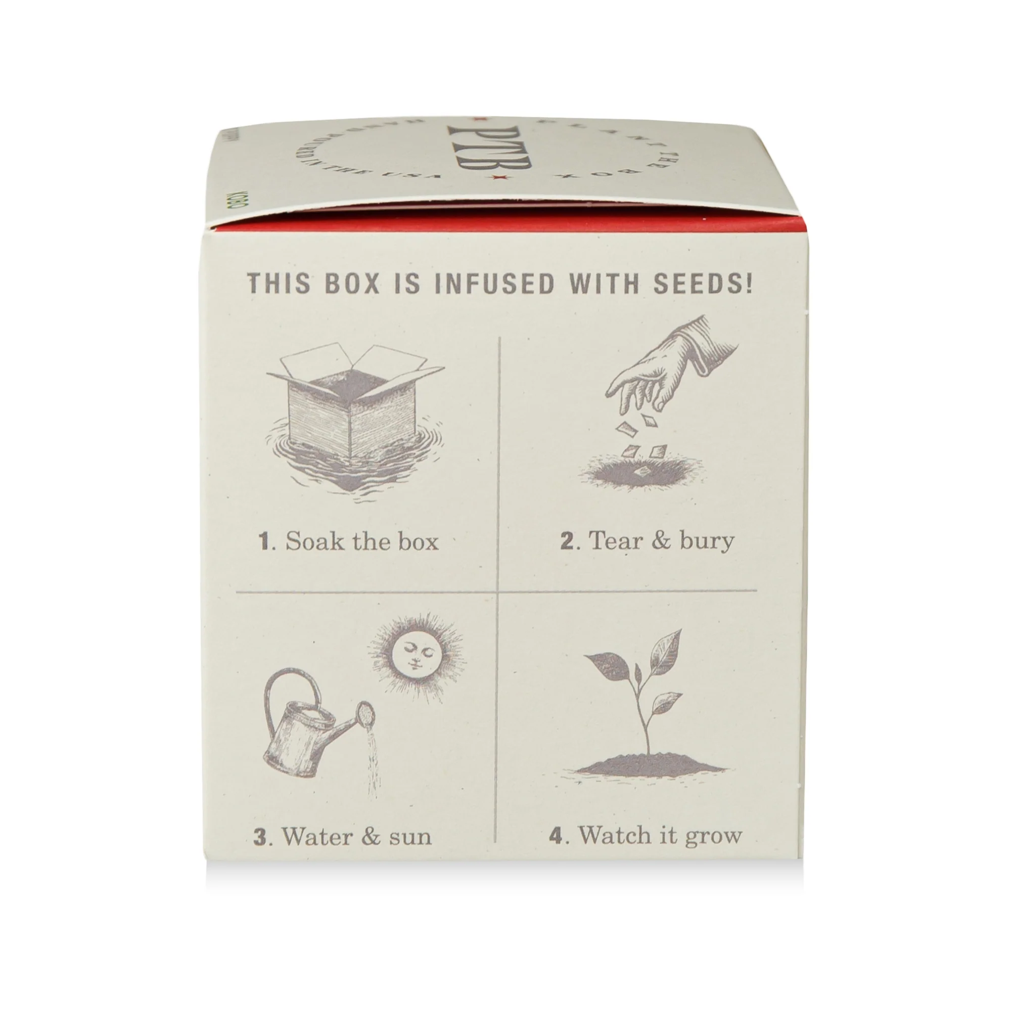 Red Poppy Plant The Box Candle - Image 10