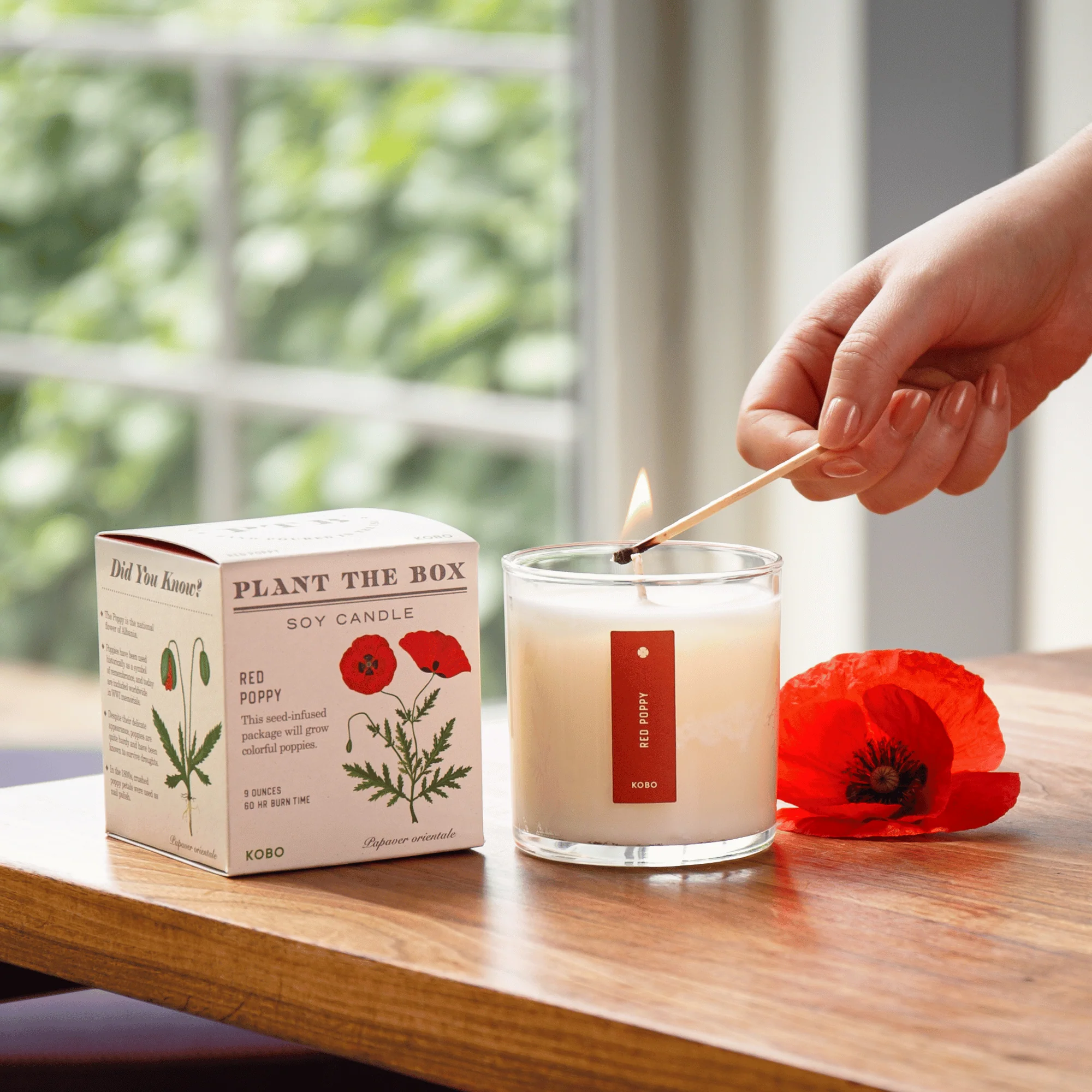 Red Poppy Plant The Box Candle - Image 3