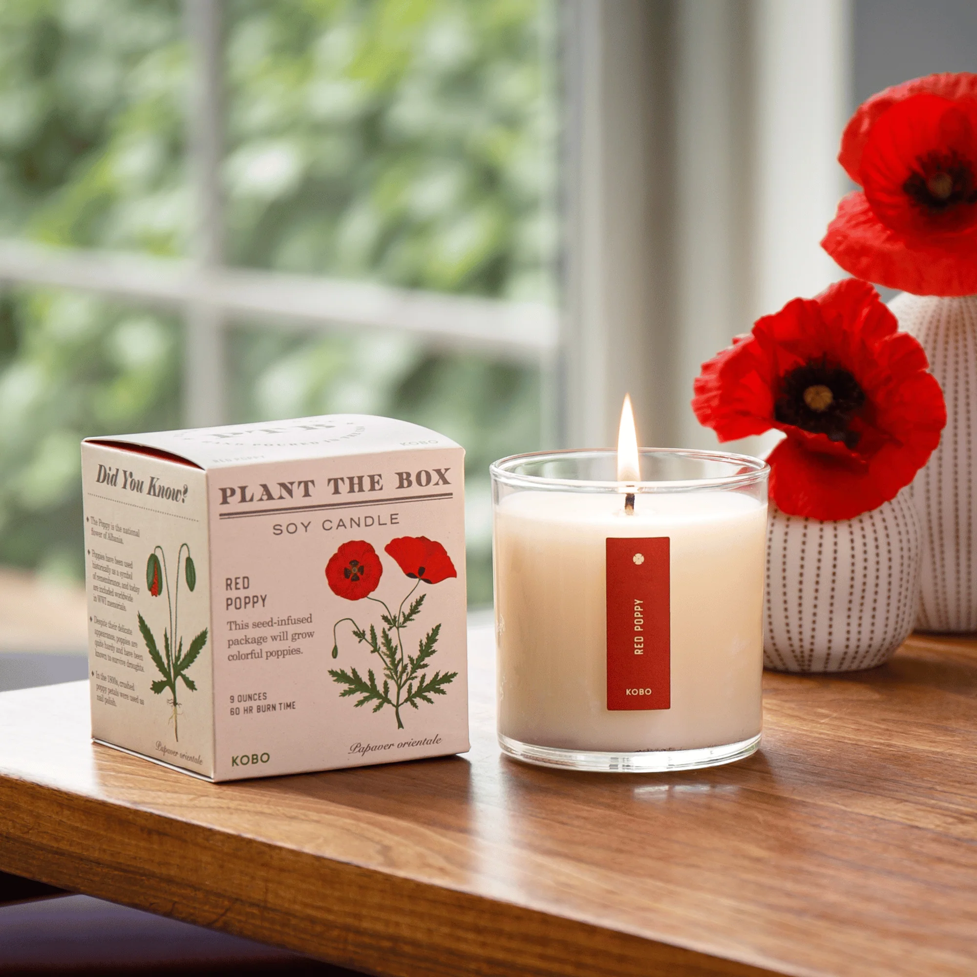 Red Poppy Plant The Box Candle - Image 4