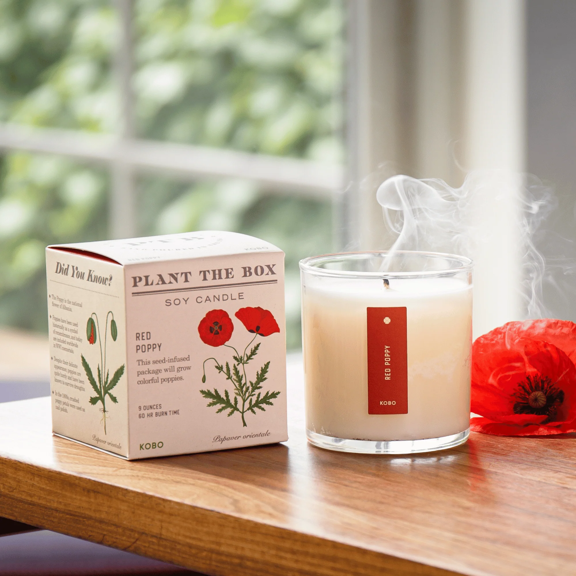 Red Poppy Plant The Box Candle - Image 5