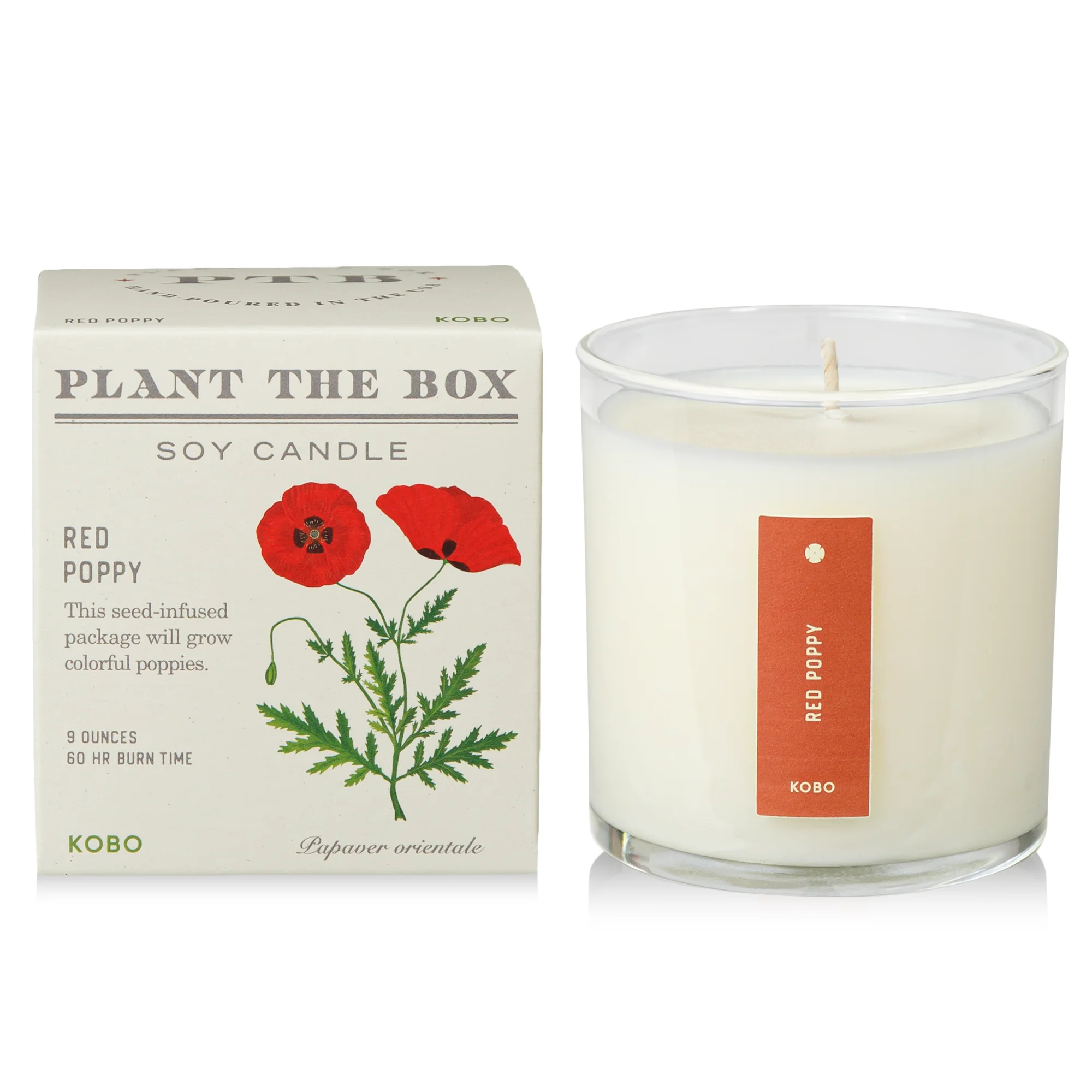 Red Poppy Plant The Box Candle - Image 7