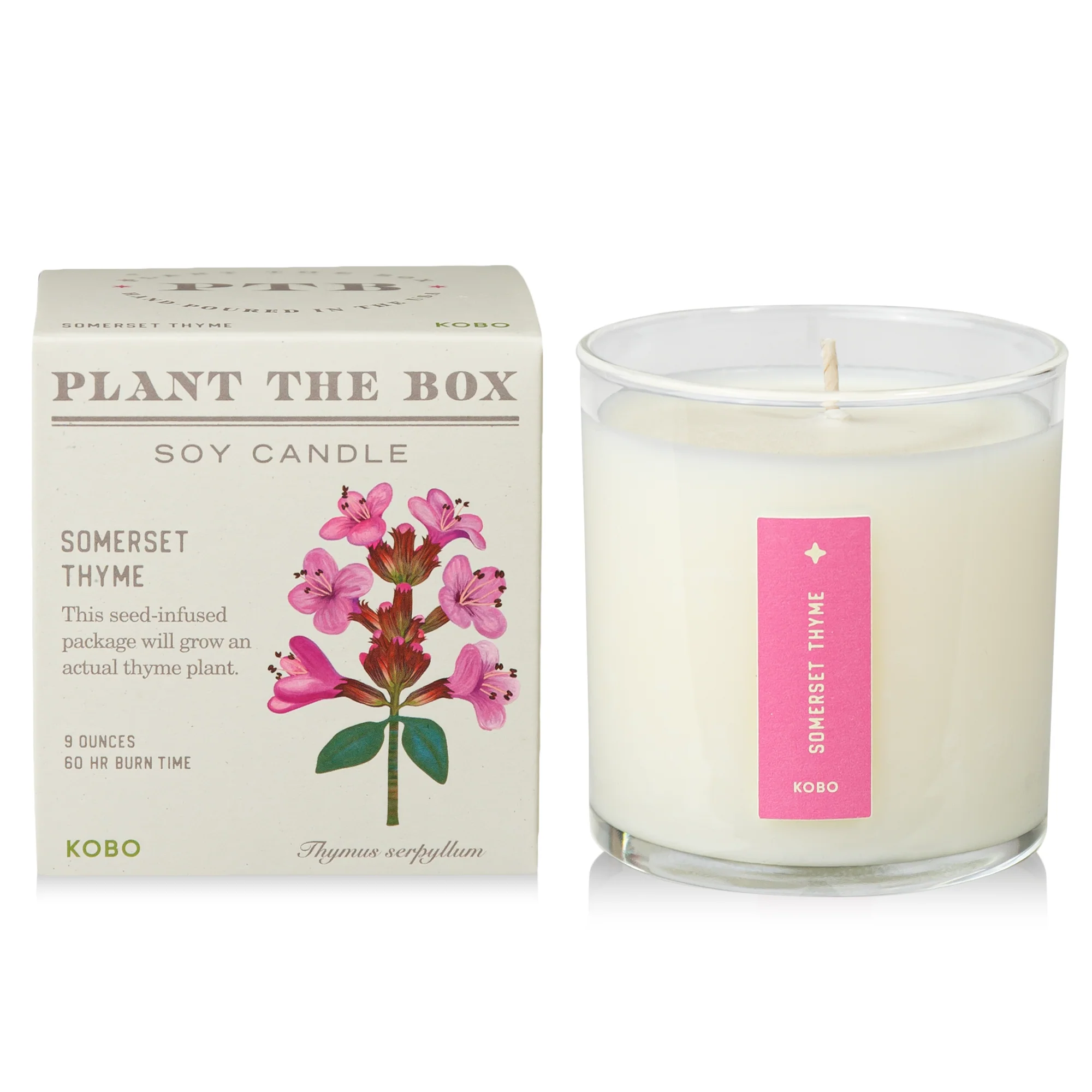 Somerset Thyme Plant The Box Candle - Image 6