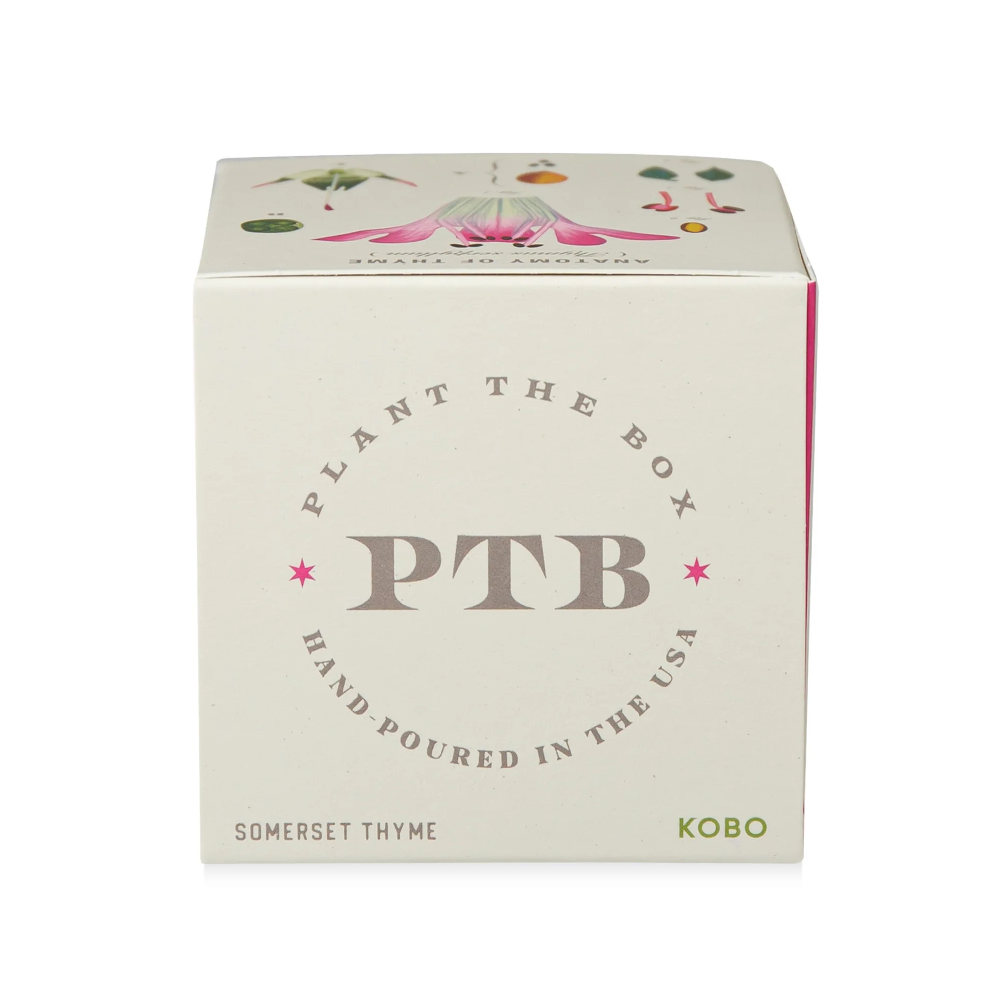 Somerset Thyme Plant The Box Candle - Image 9