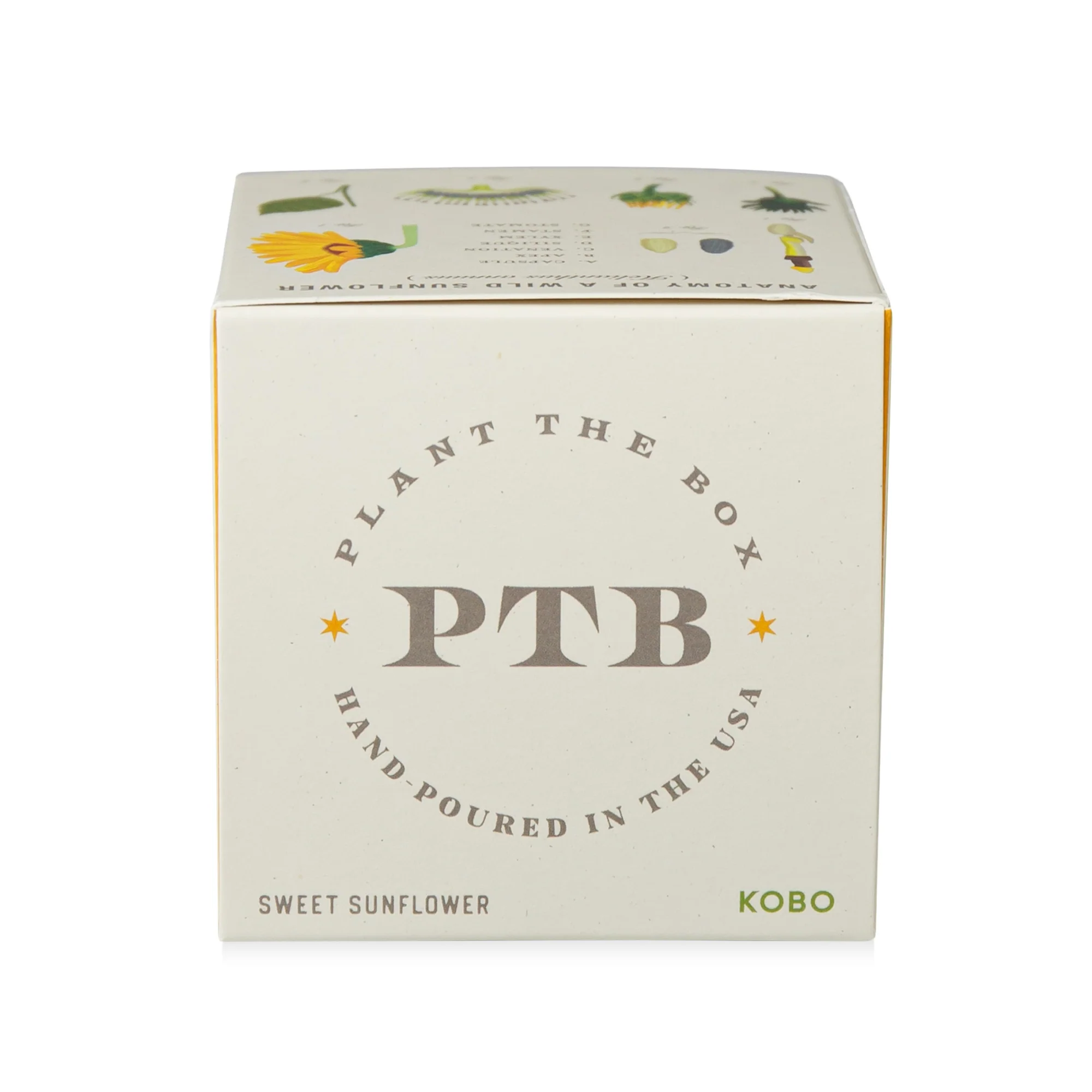 Sweet Sunflower Plant The Box Candle - Image 11