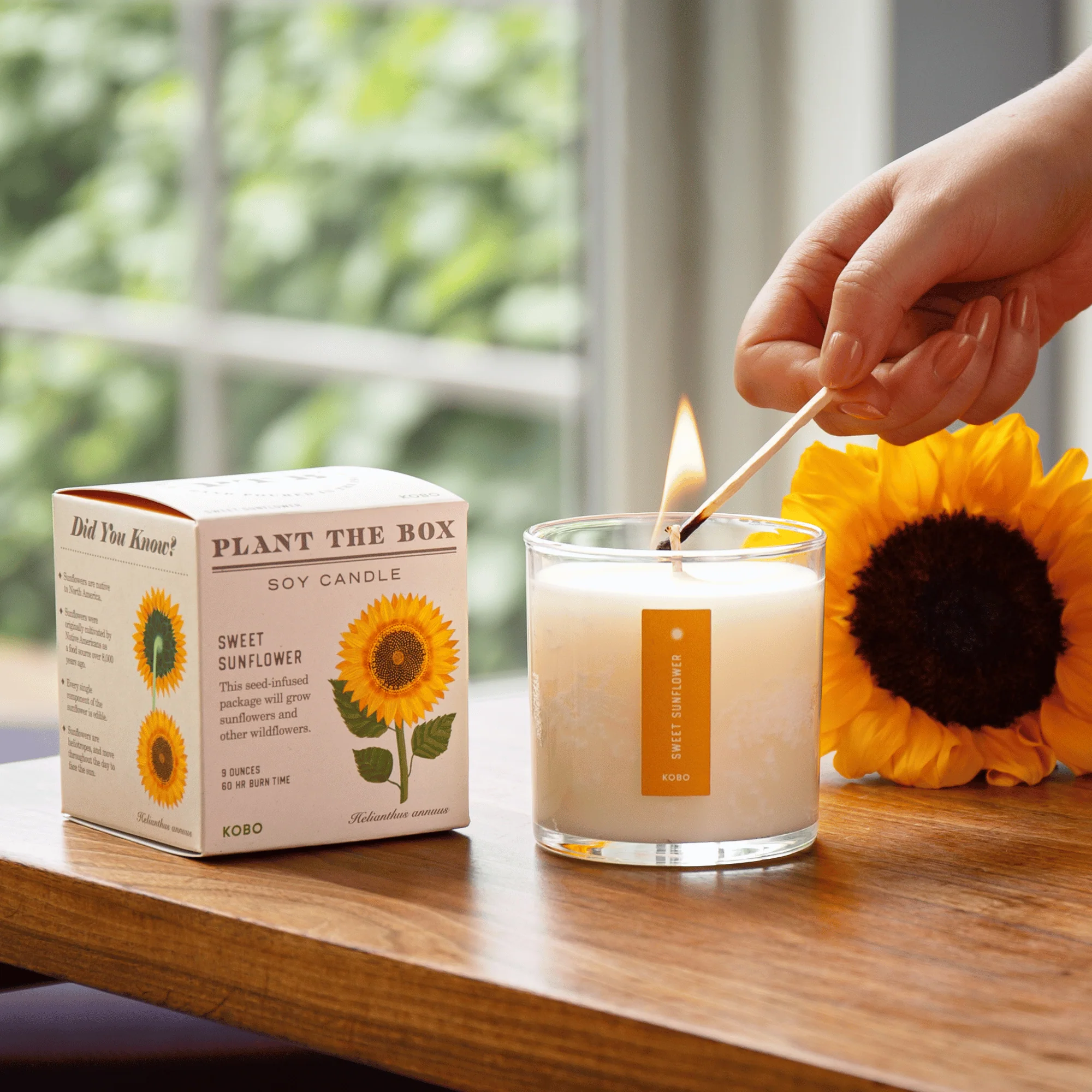 Sweet Sunflower Plant The Box Candle - Image 3