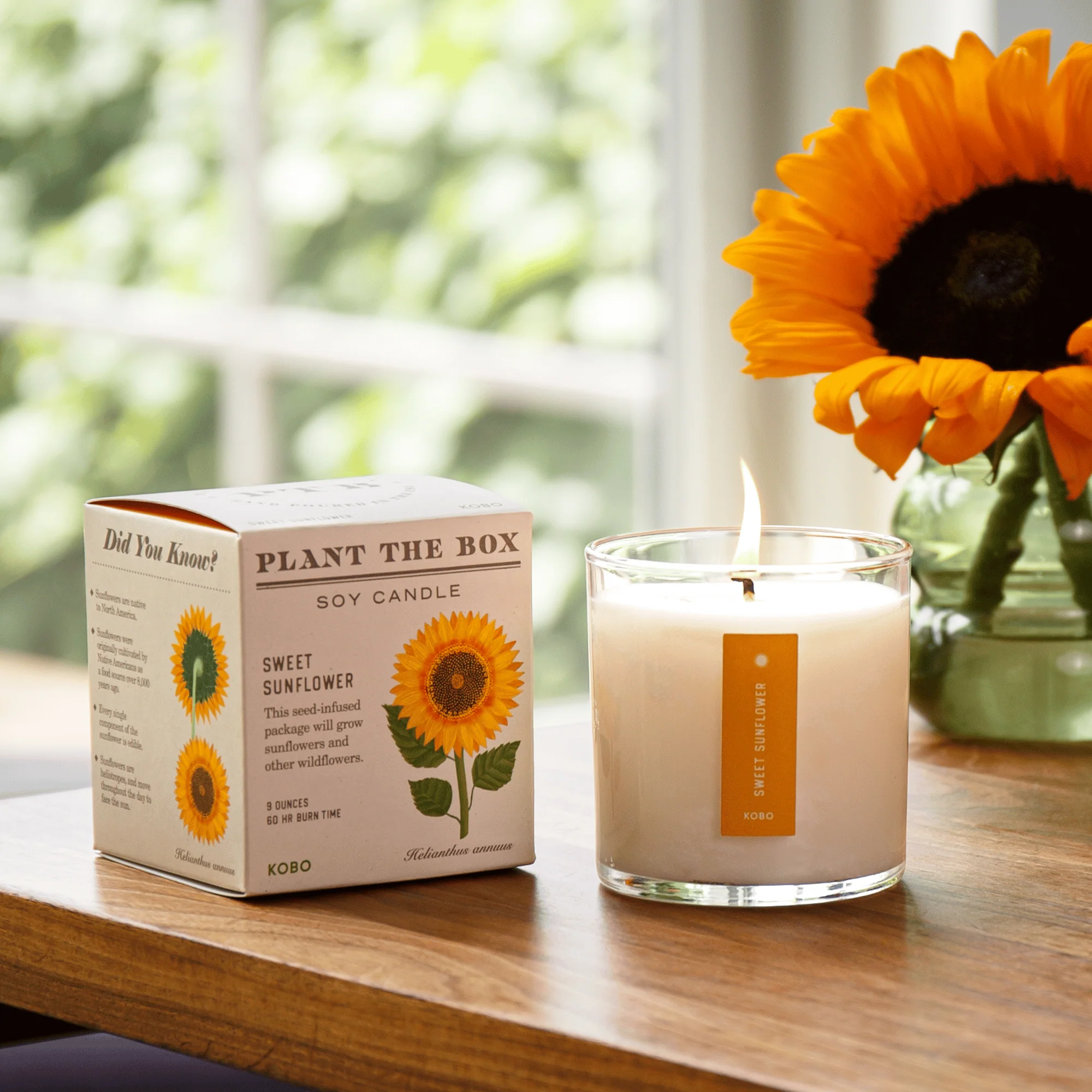 Sweet Sunflower Plant The Box Candle - Image 4