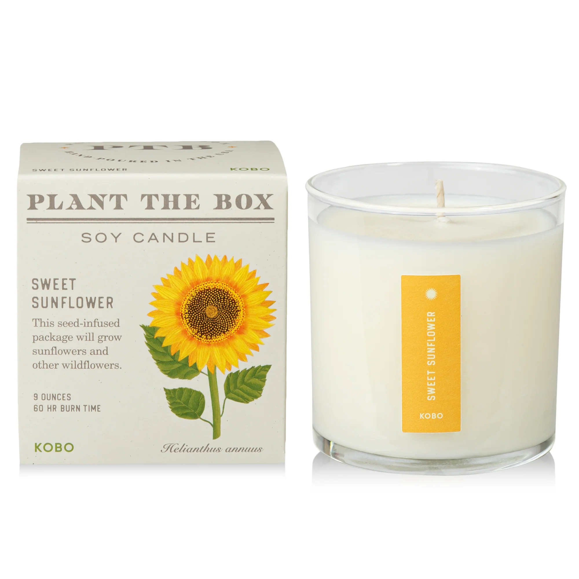 Sweet Sunflower Plant The Box Candle - Image 7