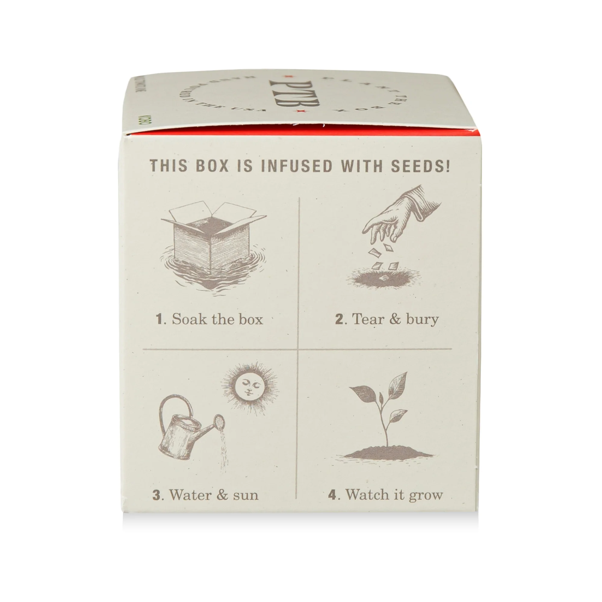 Wild Tomato Vine Plant the Box Candle - Image 10