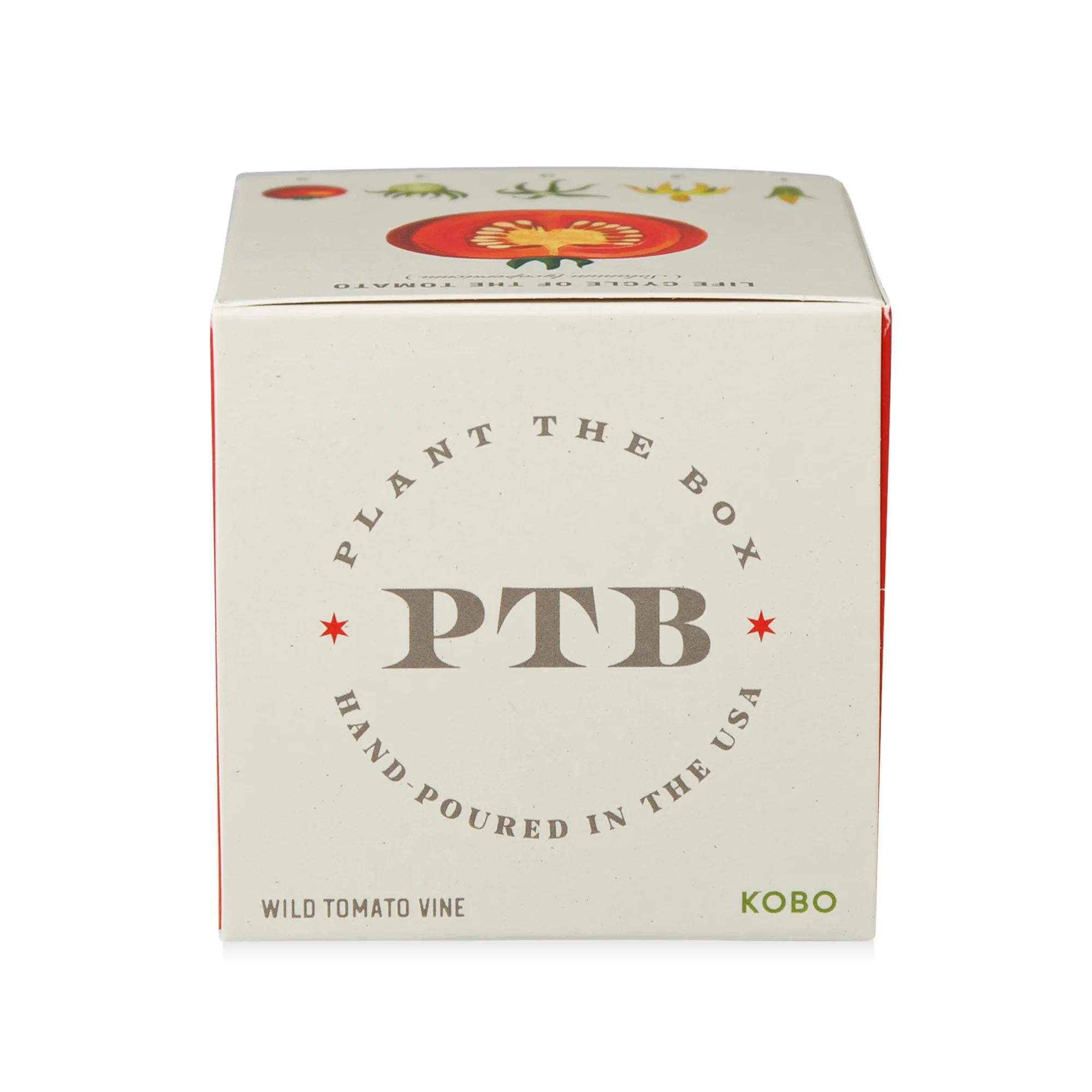 Wild Tomato Vine Plant the Box Candle - Image 11