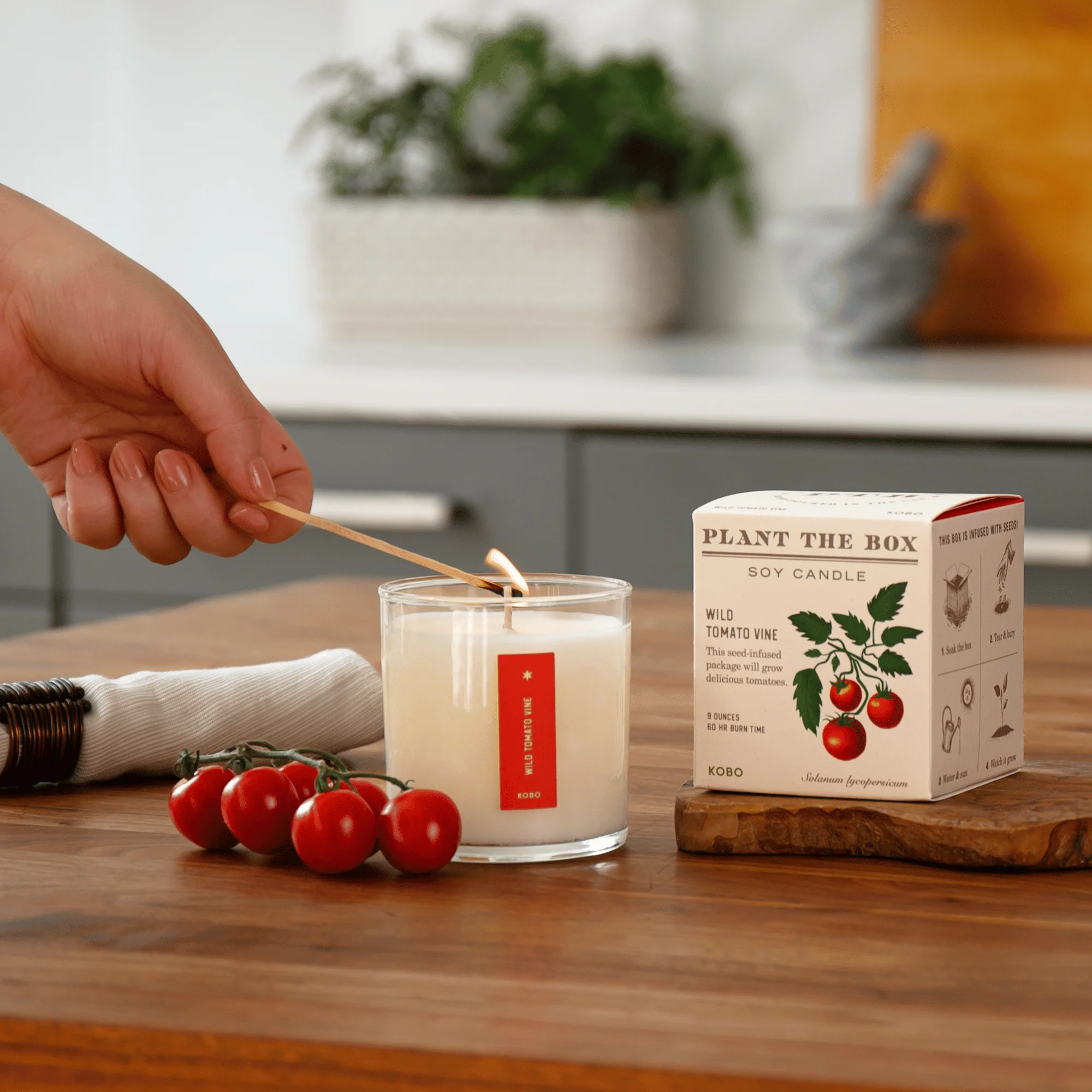 Wild Tomato Vine Plant the Box Candle - Image 3