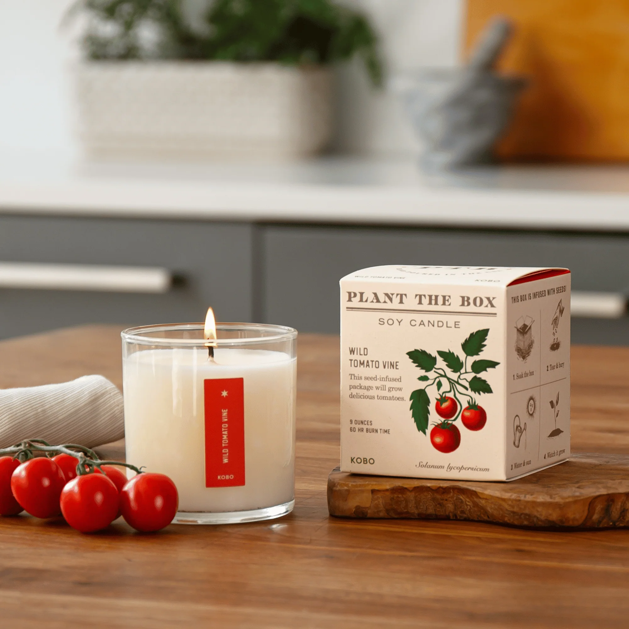 Wild Tomato Vine Plant the Box Candle - Image 4