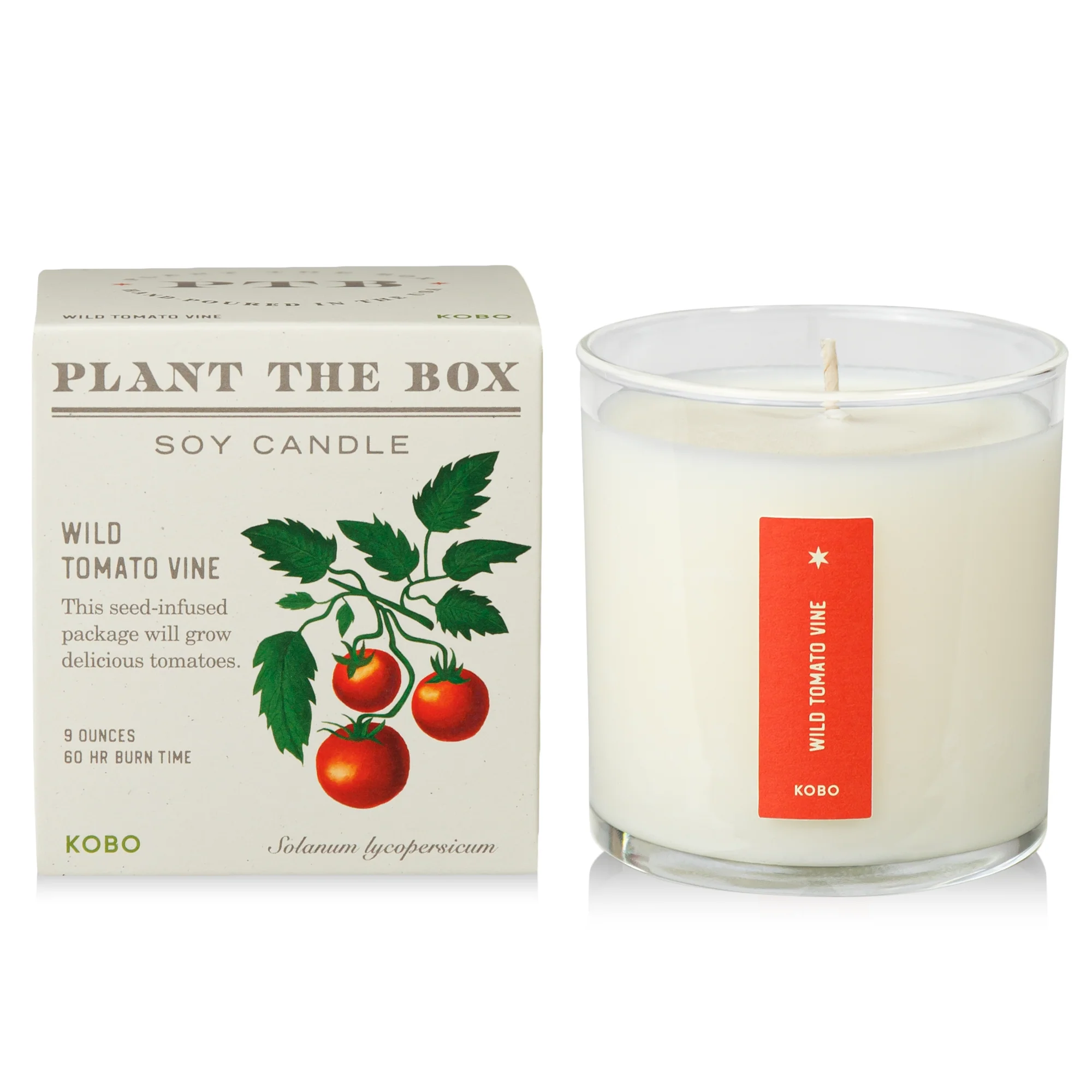 Wild Tomato Vine Plant the Box Candle - Image 7