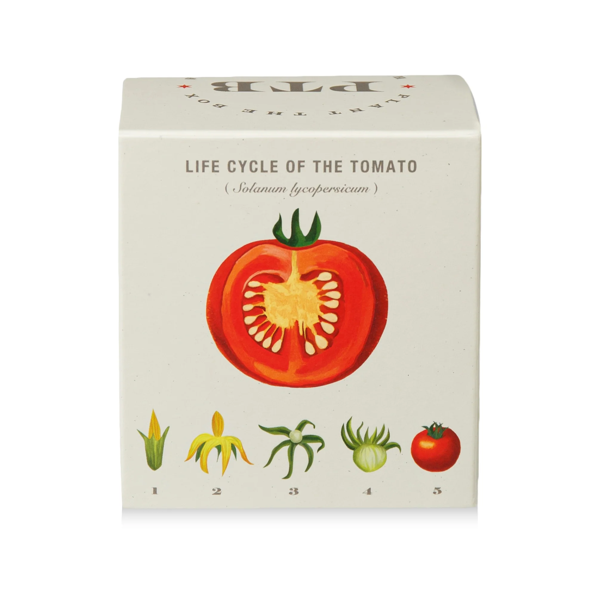 Wild Tomato Vine Plant the Box Candle - Image 8