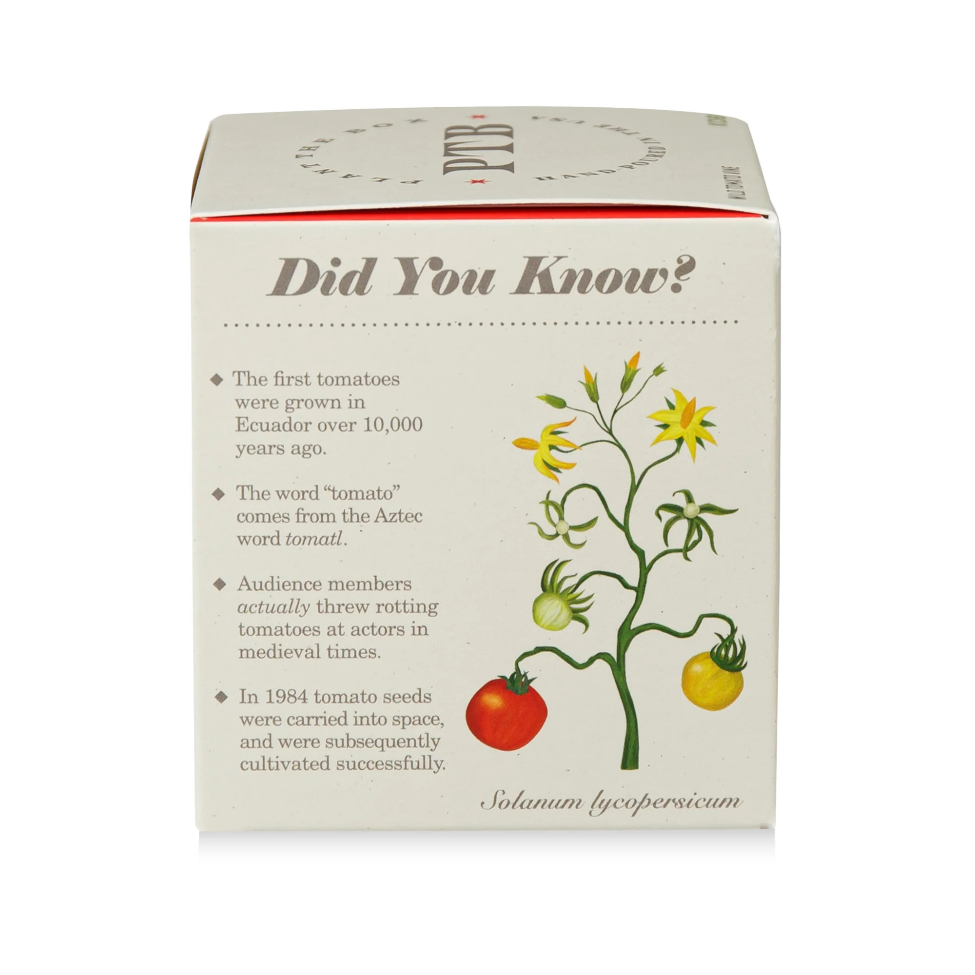 Wild Tomato Vine Plant the Box Candle - Image 9